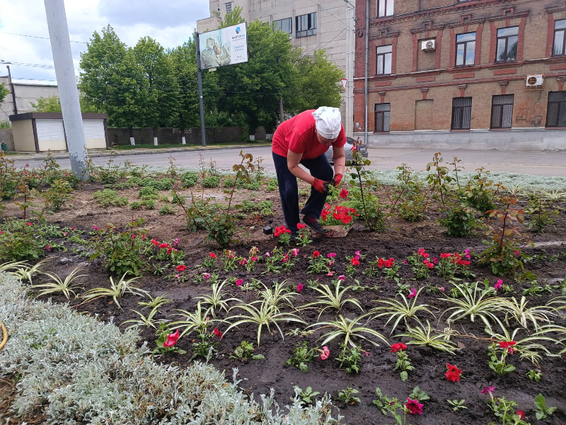 На КП «Харківводоканал» висадили квіти